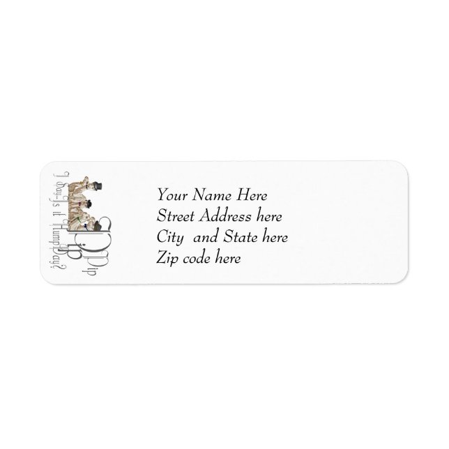 Funny Hump Day Camels  in Monocles (Front)