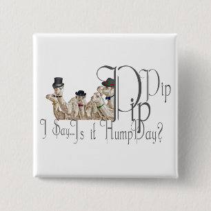 Funny Hump Day Camels in Monocles 2 Inch Square Button