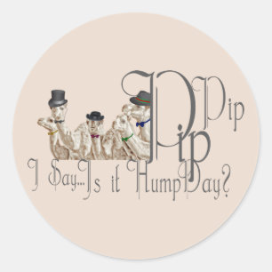 Funny Hump Day Camels in Monocles Classic Round Sticker