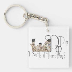 Funny Hump Day Camels  in Monocles Keychain