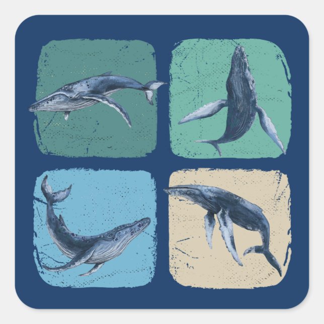 Funny Humpback Whale Watching Square Sticker (Front)