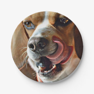 Funny Hungry Beagle Hound Dog Paper Plate