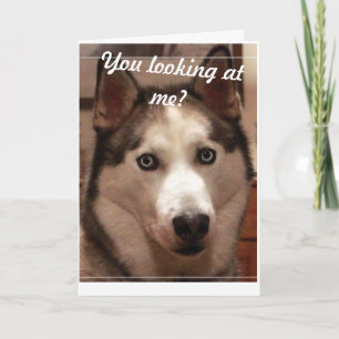 Funny Husky Birthday Card