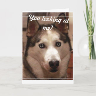 Funny Husky carte d'anniversaire
