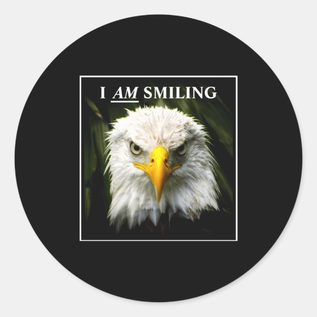 Funny I Am Smiling Mpy Eagle Photo  Classic Round Sticker (Front)