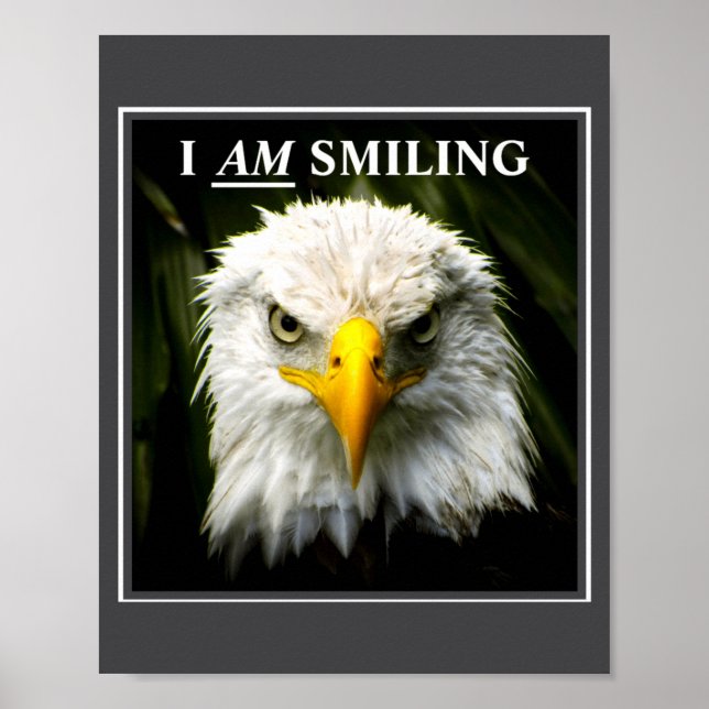 Funny I Am Smiling Mpy Eagle Photo  Poster (Front)