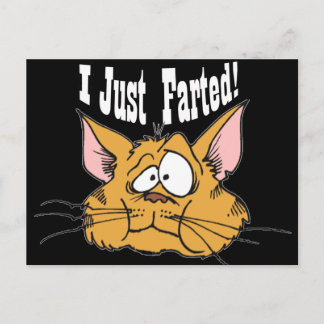 Funny I Just Farted Rude Gifts Postcard
