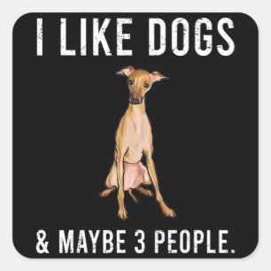 funny i like italian greyhound dogs square sticker