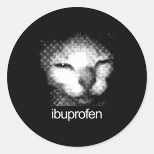 Funny Ibuprofen Cat Meme Retro Ugly Cat Face Mens  Classic Round Sticker