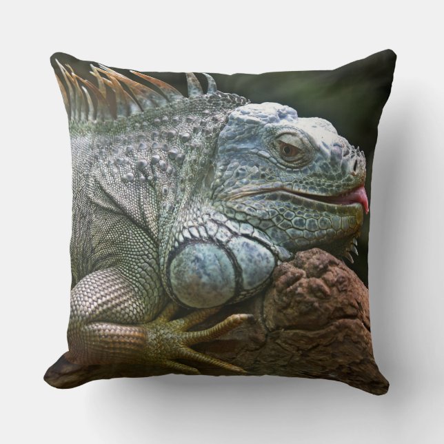 Funny Iguana Throw Pillow (Front)