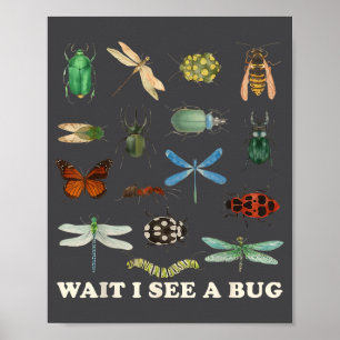 Funny Insect Quote Wait I See A Bug Idea  Poster