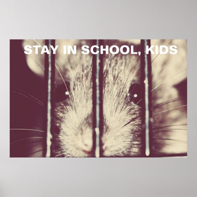 Funny Inspirational Rat Poster (Front)