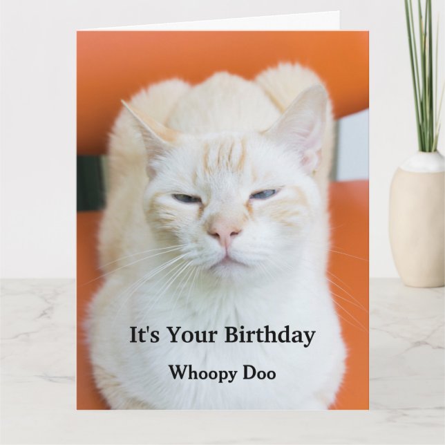 Funny Insulting Sarcastic Cat Birthday Card (Front)