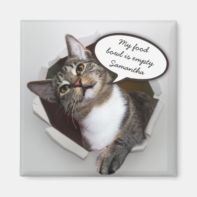 Funny Interrupting Cat Personalized Message Magnet (Front)