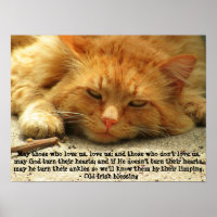 Funny Irish Blessing with Smiling Kitty