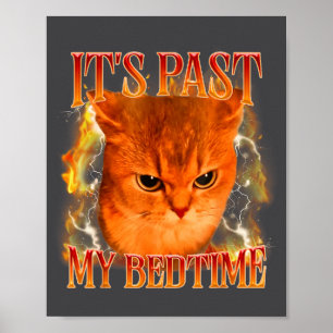 Funny It's Past My Bedtime Cat Meme Animals Humor Poster