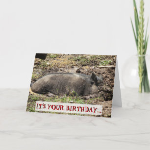 Funny It's Your Birthday Go Hog Wild Card