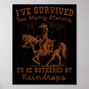 Funny Ive Survived Too Many Storms To Be Bothered Poster