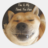 funny Japanese akita with cute all occasions