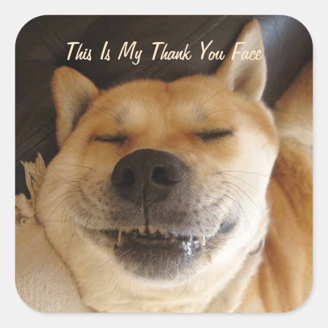 funny Japanese akita with cute all occasions Square Sticker (Front)