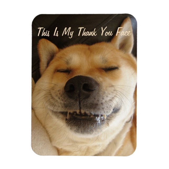 funny Japanese akita with cute smile  Magnet (Vertical)