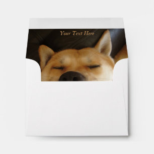 funny japanese akita with goofy smile photo envelopes