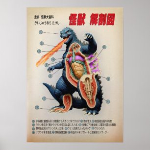 Funny Japanese Kaiju anatomy diagram Poster