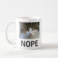 Funny Joke Unhappy Cat Nope