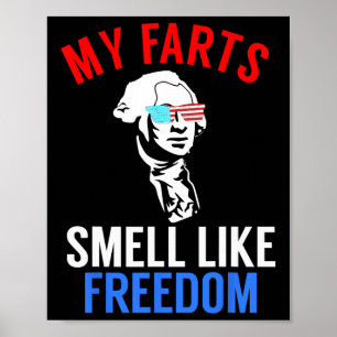 Funny July 4th Party - Funny George Washington Tee Poster