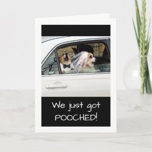 Funny Just Pooched or Just Married Announcement