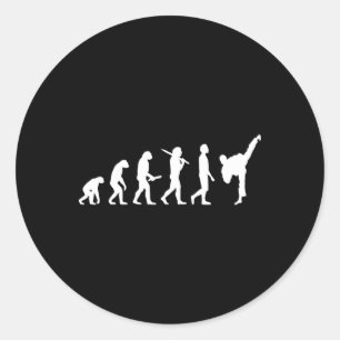 Funny Karate Evolution Gift For Martial Artists  Classic Round Sticker