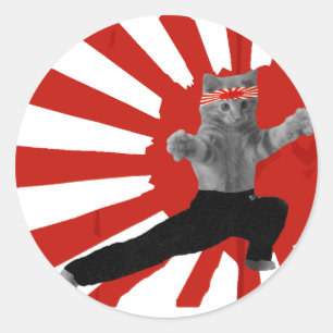 Funny Karate Kitten gifts Classic Round Sticker