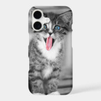 Funny Kitten