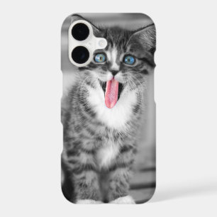 Funny Kitten