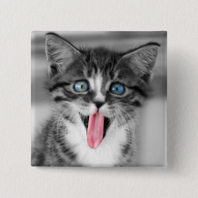 Funny Kitten 2 Inch Square Button (Front)