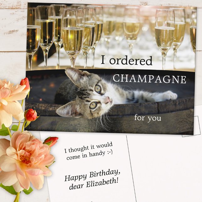 Funny Kitten Cheers Birthday Postcard (Creator Uploaded)