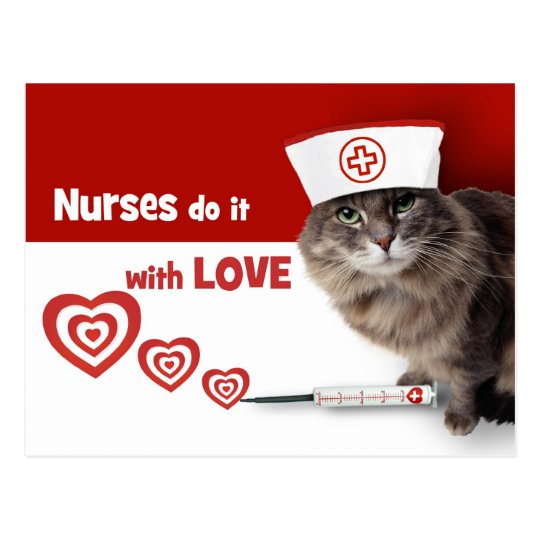 Funny Kitten Nurse Postcards