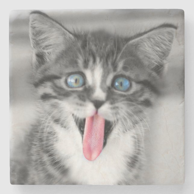 Funny Kitten Stone Coaster (Front)