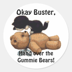 Funny Kitten & Teddy Bear Gifts Classic Round Sticker