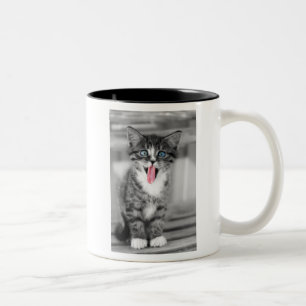 Funny Kitten Two-Tone Coffee Mug