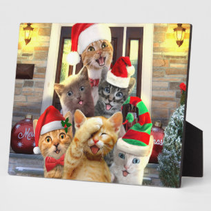Funny kittens in Christmas Day Plaque