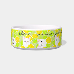 Funny Kitty Cat pet bowl Sunny, Cheerful, Cute!