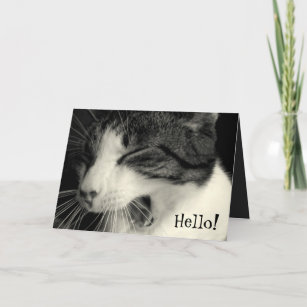 Funny Kitty Cat Yawning Photo Card