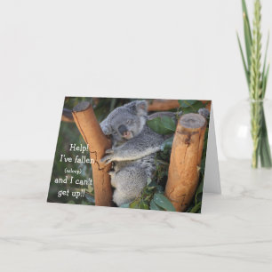Funny Koala Bear, Belated Birthday Card