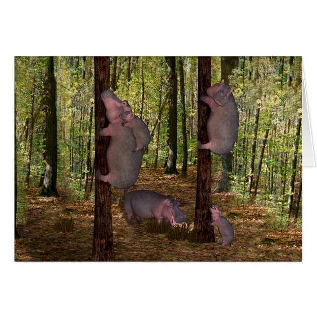 Funny Koala-Wannabe Hippos (Front Horizontal)