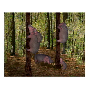 Funny Koala-Wannabe Hippos Poster