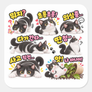 Funny Korean Tuxedo Cat Sticker Pack – Cute Cat Re
