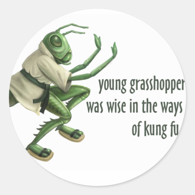 Funny Kung Fu Grasshopper Classic Round Sticker (Front)