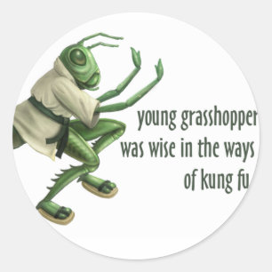 Funny Kung Fu Grasshopper Classic Round Sticker