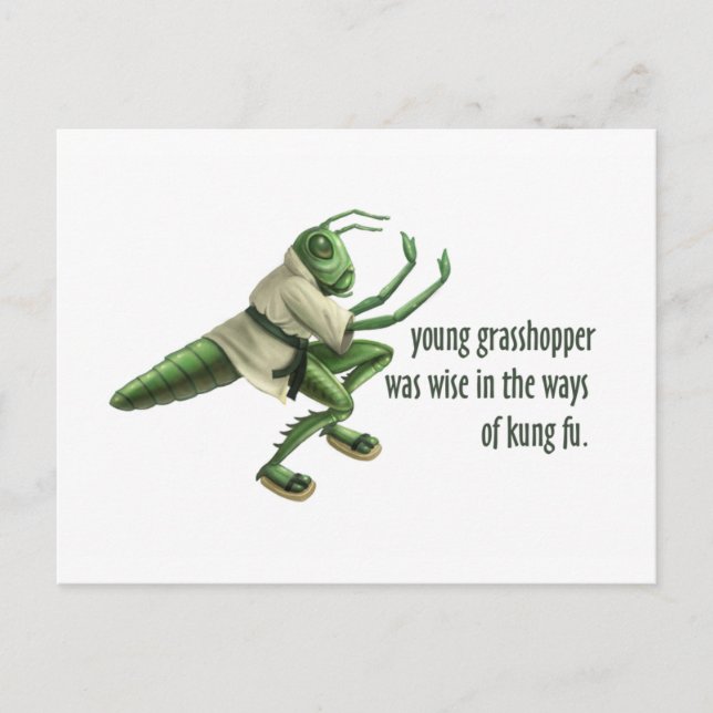 Funny Kung Fu Grasshopper Postcard (Front)